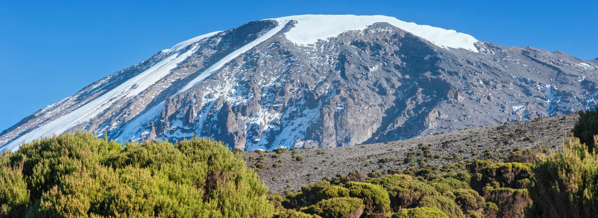 Mount Kilimanjaro Climbs