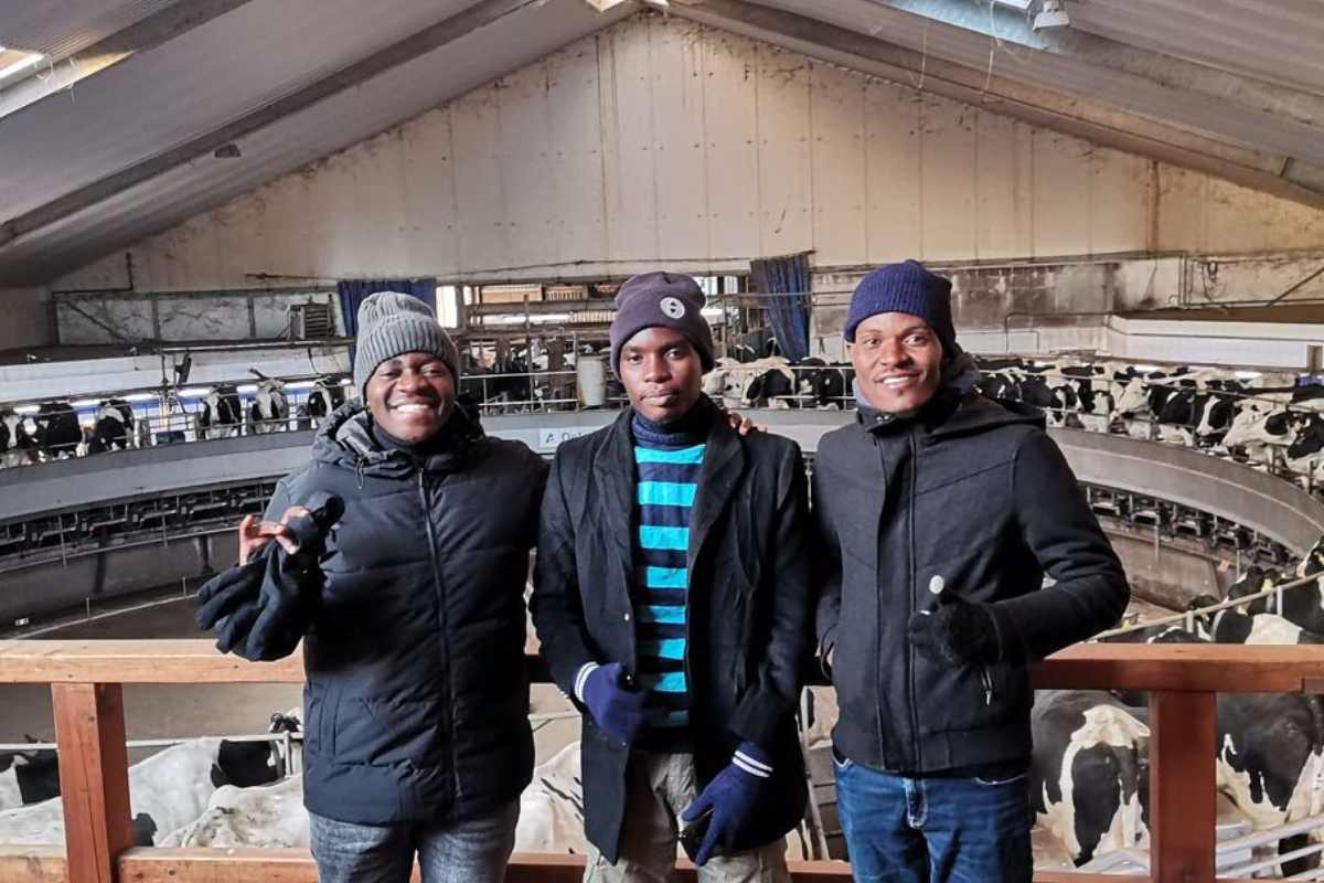 Agriculture and livestock opportunities