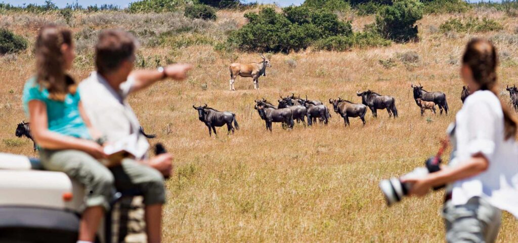 7-Day Serengeti Family Safari