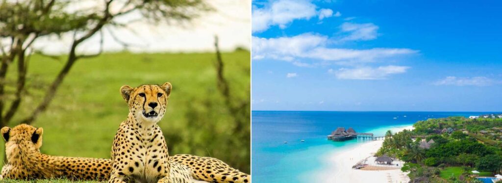 10 Days Tanzania Safari and Zanzibar Beach Holiday