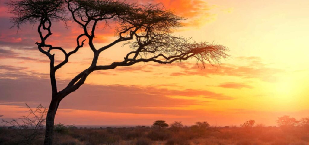 Serengeti Ngorongoro and Sansibar Safari