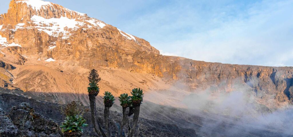 Kilimanjaro Besteigung über die Lemosho Route