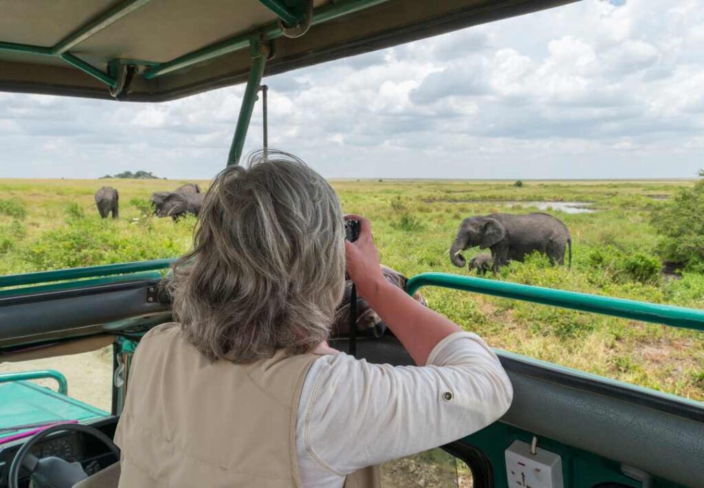 Photographic Safaris