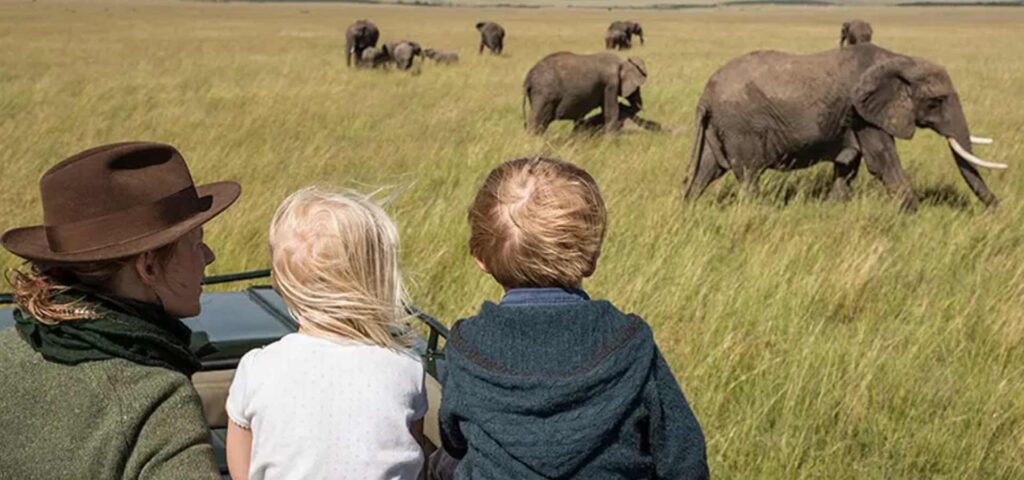 6-Day Nyerere and Mikumi Family Safari