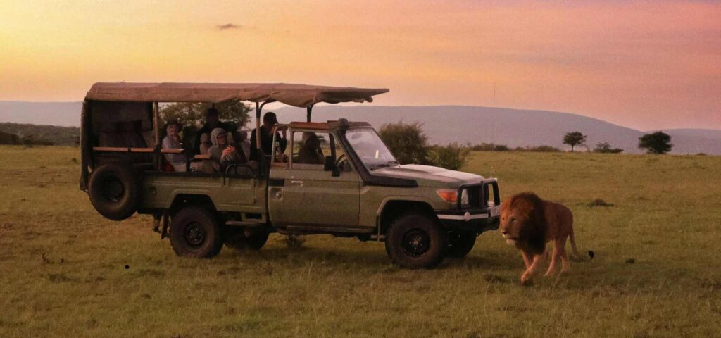 5-Day Tanzania Family Safari