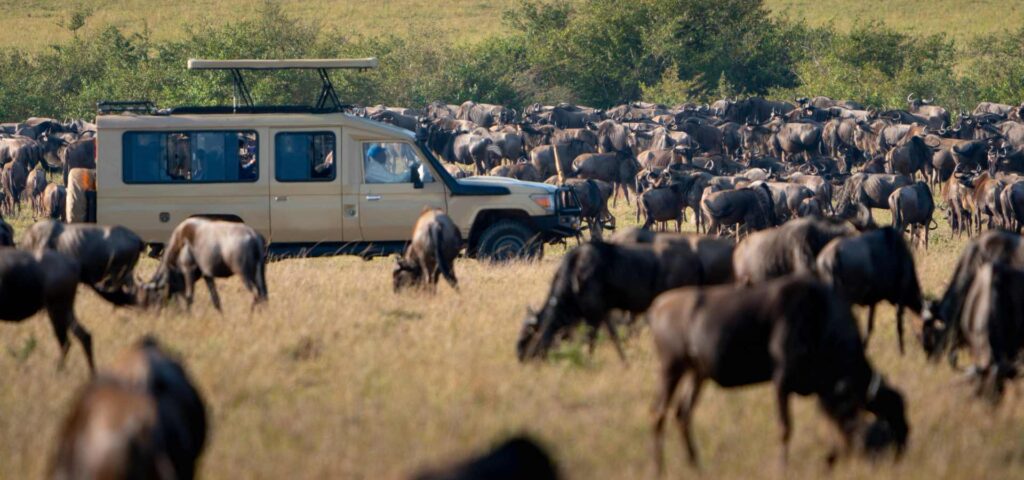 8-Day Great Migration Photography Safari