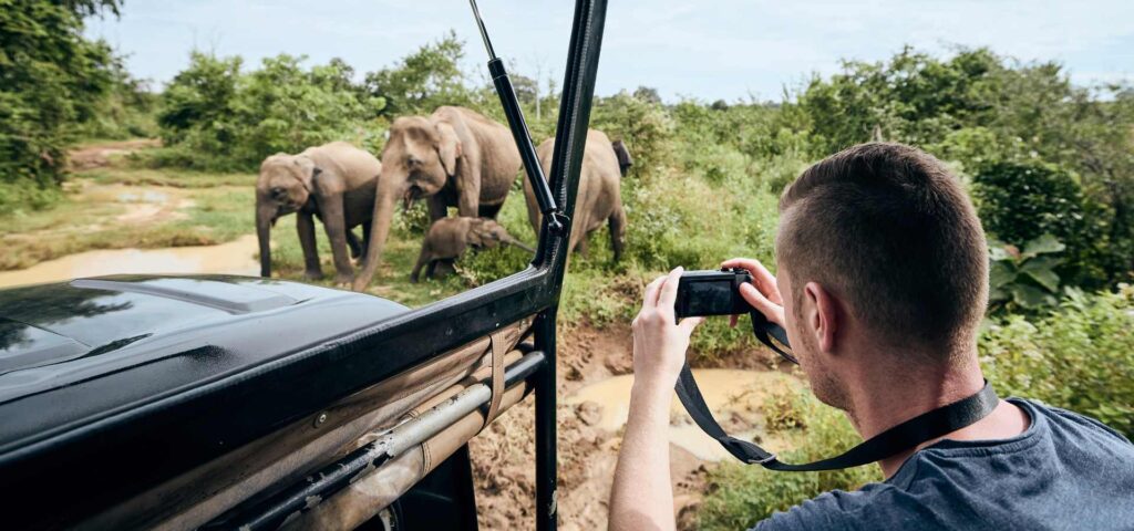 7-Day Serengeti Wildlife Photography Safari