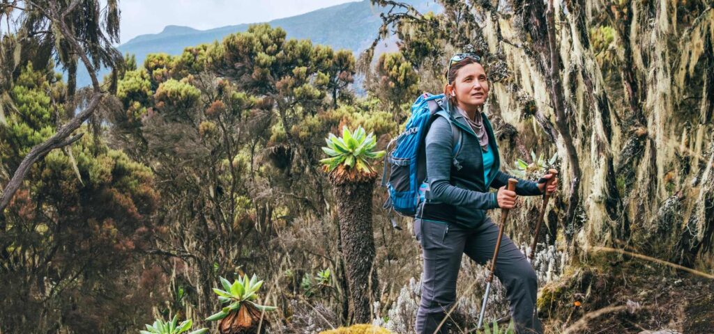 6-Day Kilimanjaro Climb via Umbwe Route