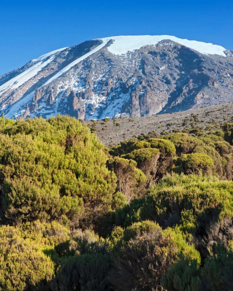 Mount Kilimanjaro Climbing Adventures