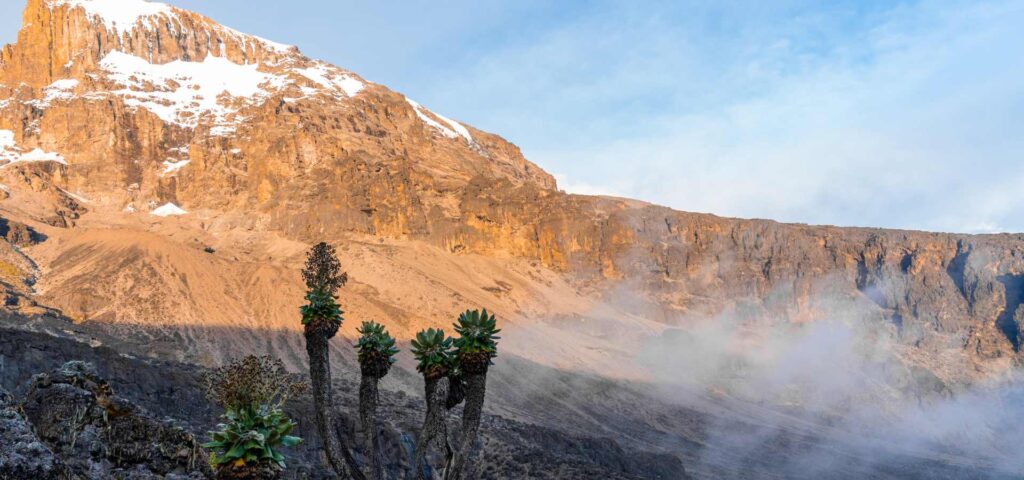 8-Day Kilimanjaro Climb via Lemosho Route