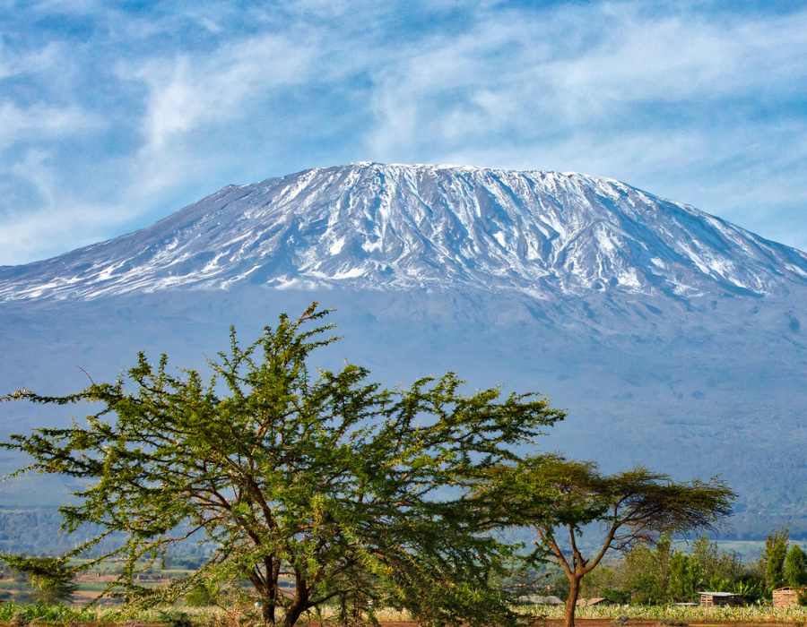 Mount Kilimanjaro Climbing Adventures