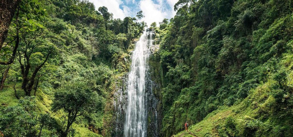 Materuni Waterfalls and Coffee Tour