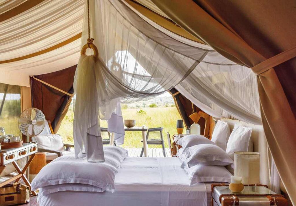 Luxury Safaris